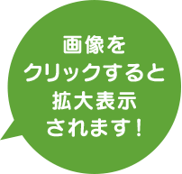 画像をクリックすると拡大表示されます