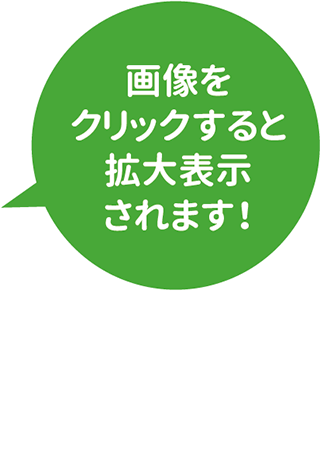 画像をクリックすると拡大表示されます